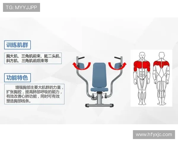 健身器材训练大全：全身肌群系统训练方案集