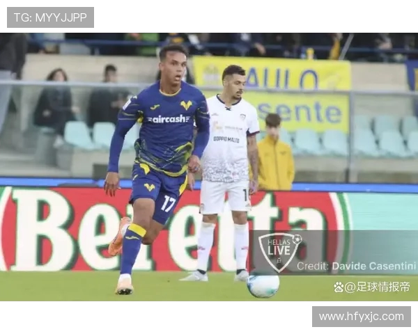 法甲年轻教练表现及未来执教潜力评估