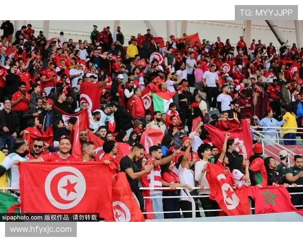 法甲球队球迷支持现状及球迷文化影响