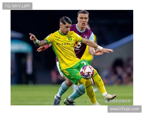 诺维奇对阵米尔沃尔实力对比解析与比赛走向前瞻关键因素与胜负趋势